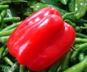 辣椒變紅能吃嗎？辣椒為什么會變紅？