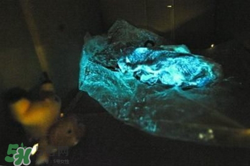 豬肉泛藍(lán)是怎么回事?豬肉泛藍(lán)光還能吃嗎 豬肉泛藍(lán)是怎么回事?豬肉泛藍(lán)光還能吃嗎