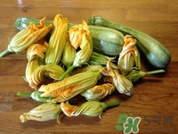 孕婦可以吃絲瓜嗎?孕婦吃絲瓜對(duì)胎兒好嗎 孕婦可以吃絲瓜嗎?孕婦吃絲瓜對(duì)胎兒好嗎