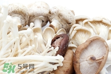 金針菇吃多了有什么害處?金針菇吃多了會(huì)中毒嗎 金針菇吃多了有什么害處?金針菇吃多了會(huì)中毒嗎