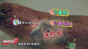 紅薯有黑斑能吃么 地瓜有黑點(diǎn)可以吃嗎 紅薯有黑斑能吃么 地瓜有黑點(diǎn)可以吃嗎