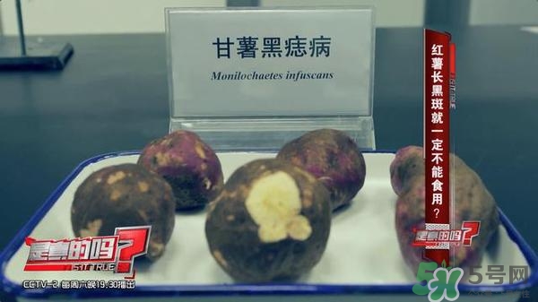紅薯有黑斑能吃么 地瓜有黑點(diǎn)可以吃嗎 紅薯有黑斑能吃么 地瓜有黑點(diǎn)可以吃嗎
