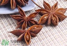 八角怎么保存?八角的保存方法 八角怎么保存?八角的保存方法