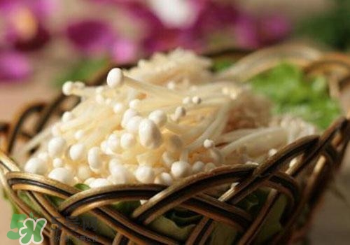 金針菇不能和什么一起吃？金針菇的食用禁忌