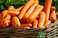 吃什么食物預(yù)防乳腺癌 預(yù)防乳腺癌吃什么最好 吃什么食物預(yù)防乳腺癌 預(yù)防乳腺癌吃什么最好