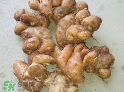 沙姜是什么姜?沙姜和生姜的區(qū)別 沙姜是什么姜?沙姜和生姜的區(qū)別