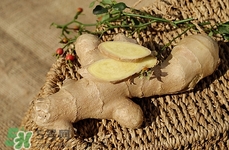 孕婦可以吃沙姜嗎?孕婦吃沙姜好嗎 孕婦可以吃沙姜嗎?孕婦吃沙姜好嗎