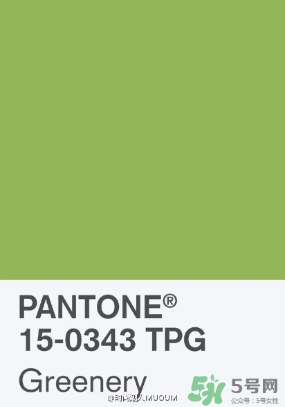 草綠色配什么顏色好看？草綠色和什么顏色最搭？