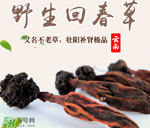 回春草多少錢一斤？回春草多少錢一克？