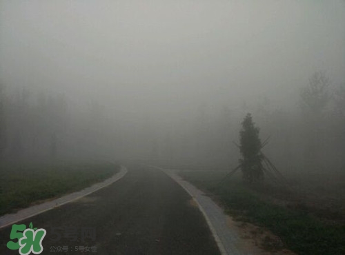 早上霧大適合跑步嗎?霧大對身體好不好 早上霧大適合跑步嗎?霧大對身體好不好