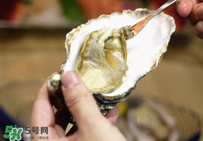 生蠔一次吃幾個最好？生蠔一天吃幾個好？