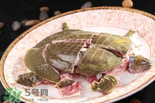 有乙肝可以吃甲魚嗎？乙肝患者禁吃甲魚