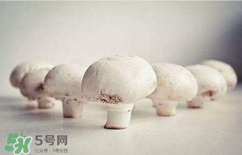 口蘑是什么東西?口蘑怎么做好吃 口蘑是什么東西?口蘑怎么做好吃