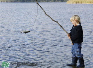 立春能釣魚嗎？立春好釣魚嗎？