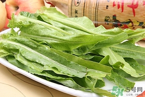 油麥菜可以和雞蛋一起炒嗎?油麥菜和雞蛋一起怎么吃 油麥菜可以和雞蛋一起炒嗎?油麥菜和雞蛋一起怎么吃