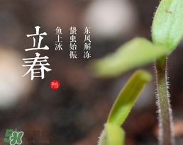 立春吃什么蔬菜？立春時令蔬菜推薦
