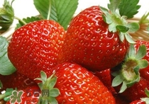 立春吃什么水果？立春養(yǎng)生水果推薦