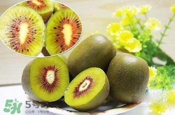 喝酒后可以吃獼猴桃嗎？酒和獼猴桃可以一起吃嗎？