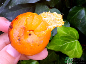 橘子烤著吃會上火嗎？烤橘子上火嗎？