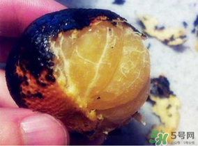 橘子烤著吃會上火嗎？烤橘子上火嗎？