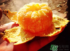 烤橘子可以用煤氣灶嗎？橘子用煤氣灶烤有毒嗎？