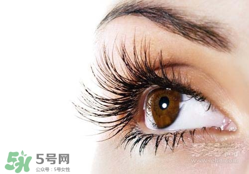 潤唇膏可以增長睫毛嗎？潤唇膏怎樣增長睫毛？