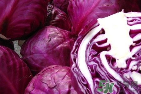 涼拌紫甘藍用焯水嗎？紫甘藍涼拌需要焯水嗎？