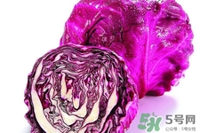 涼拌紫甘藍用焯水嗎？紫甘藍涼拌需要焯水嗎？