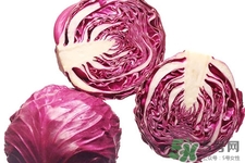 紫甘藍(lán)怎么保存？紫甘藍(lán)的儲(chǔ)存方法