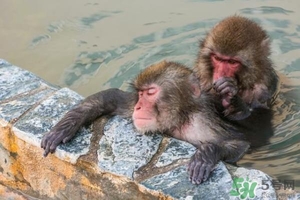 入浴劑是什么？入浴劑怎么用