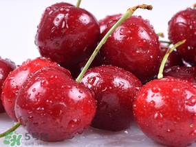 為什么吃車?yán)遄訒亲?？吃車?yán)遄永亲釉趺崔k？