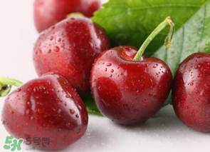 為什么吃車?yán)遄訒亲樱砍攒嚴(yán)遄永亲釉趺崔k？