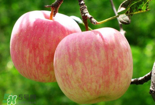 蘋果裂口怎么回事？蘋果裂口能不能吃？