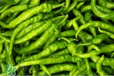 尖椒可以天天吃嗎？尖椒吃多了好嗎？