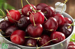 車厘子是熱性還是涼性？車厘子是熱性嗎？