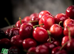 車?yán)遄邮裁醇竟?jié)吃？車?yán)遄邮鞘裁醇竟?jié)的水果？