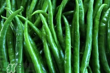 尖椒怎么保存？尖椒的儲(chǔ)存方法