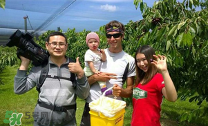 新鮮車厘子怎么保存？新鮮車厘子能保存多久？