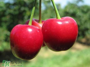 車厘子和蝦能一起吃嗎？吃完車厘子可以吃蝦嗎？