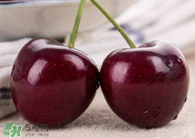 車?yán)遄邮裁磿r(shí)候吃最好？車?yán)遄右惶焓裁磿r(shí)候吃營(yíng)養(yǎng)吸收最好？