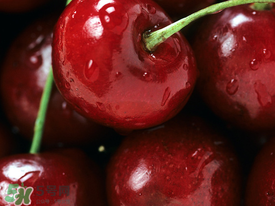 車?yán)遄邮裁磿r(shí)候吃最好？車?yán)遄右惶焓裁磿r(shí)候吃營(yíng)養(yǎng)吸收最好？