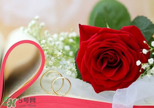 情人節(jié)送什么顏色的玫瑰花好？情人節(jié)送幾朵玫瑰花好？