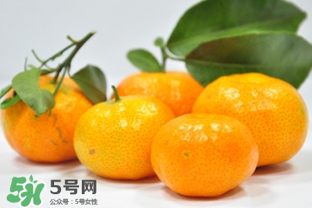 蜜桔怎么保存？蜜桔的保存方法