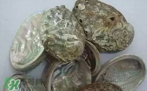 石決明的功效與作用 石決明有什么功效 石決明的功效與作用 石決明有什么功效