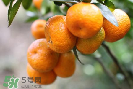 橘子變綠能不能吃？橘子變綠了還可以吃嗎？