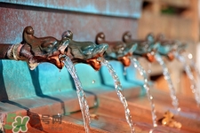 飲水機里的水可以放多久?春節(jié)過來還能喝嗎 飲水機里的水可以放多久?春節(jié)過來還能喝嗎