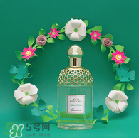 嬌蘭花草水語哪個好聞 嬌蘭花草水語系列介紹 嬌蘭花草水語哪個好聞 嬌蘭花草水語系列介紹