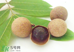 桂圓干多少錢一斤？干桂圓多少錢一斤？