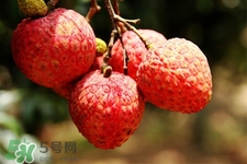 吃荔枝會(huì)過(guò)敏嗎？吃荔枝過(guò)敏怎么辦？