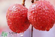 孕婦可以吃荔枝嗎？懷孕了能吃荔枝嗎？